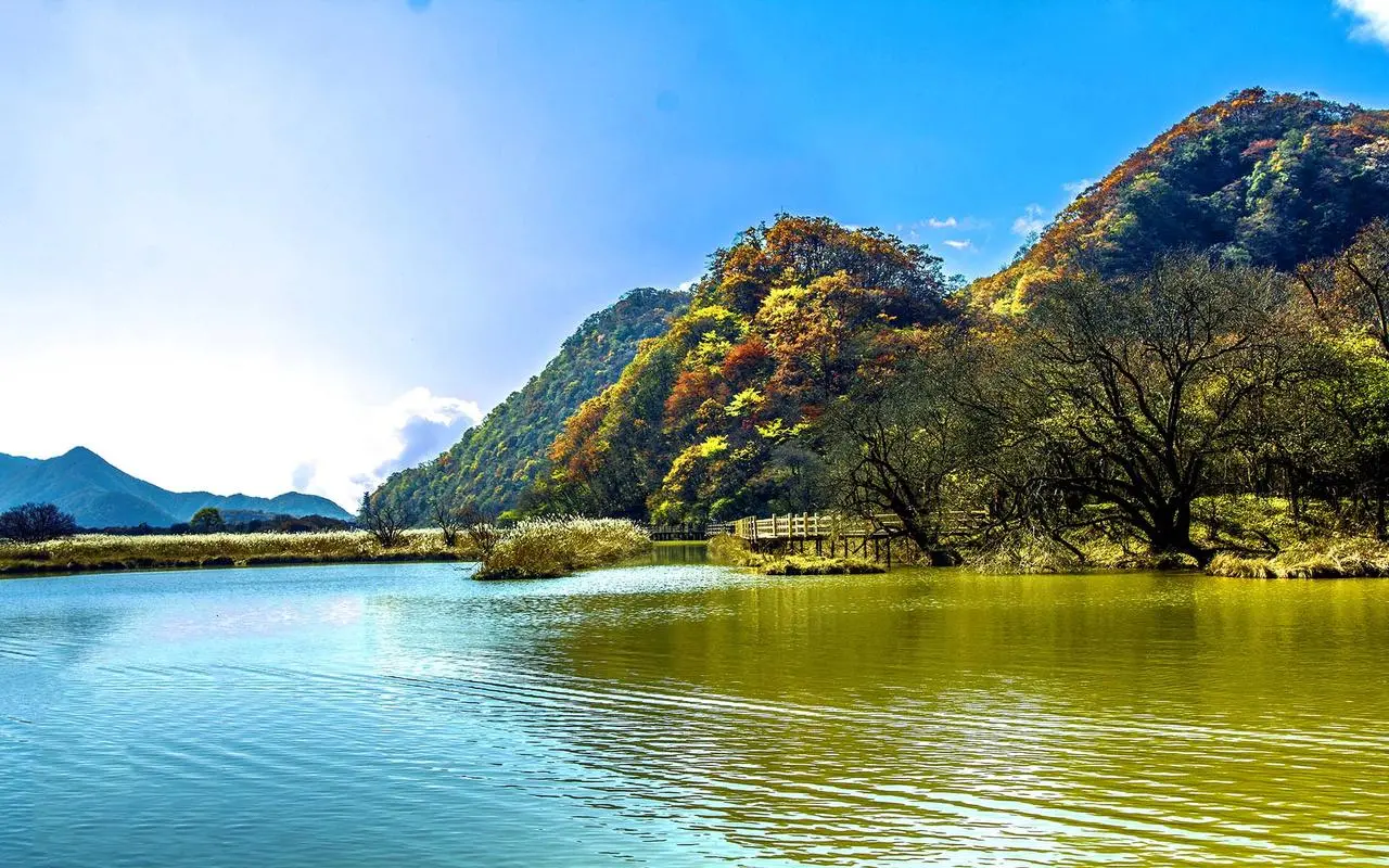 高性能高效